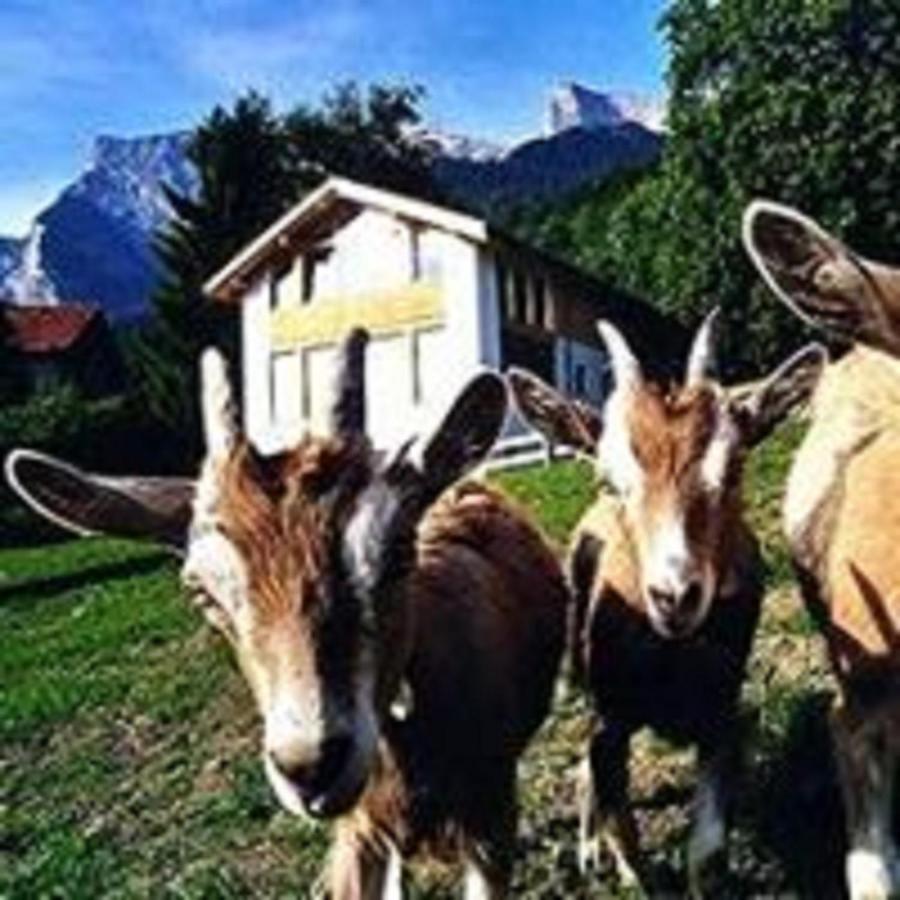 Hotel Restaurant Heidihof Maienfeld Eksteriør billede
